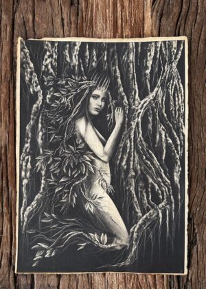 L'Esprit De la Forêt